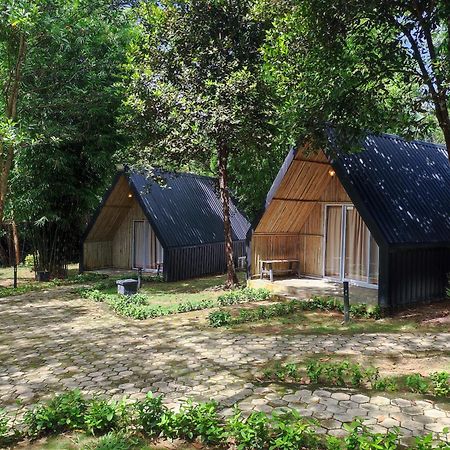 "D'Bamboo Kamp" Desa Wisata Ekang ラゴイ エクステリア 写真